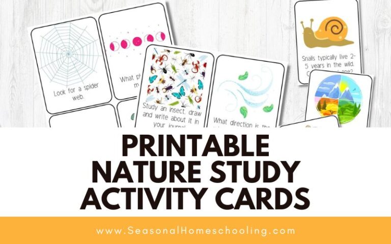Printable Nature Study Activity Cards