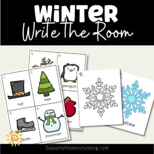 Winter Write the Room product cover