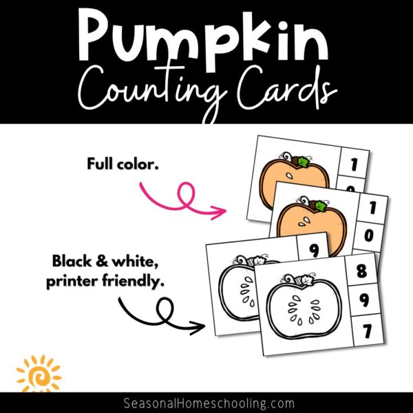 Pumpkin Seed Counting Clip Cards samples