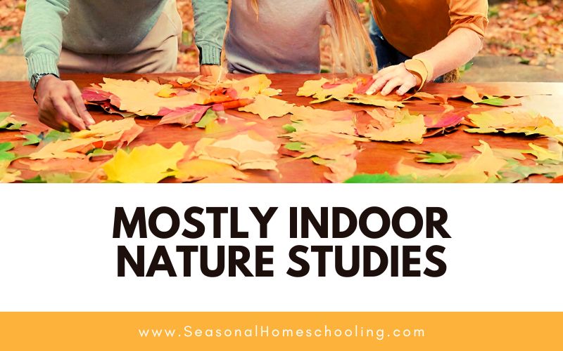 people looking at leaves on a table with Mostly Indoor Nature Studies text overlay