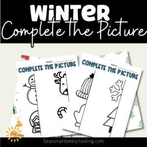 Winter Complete the Picture - Product Cover