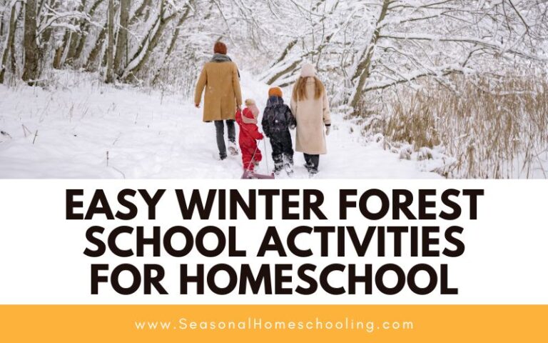 15 Easy Winter Forest School Activities for Homeschool