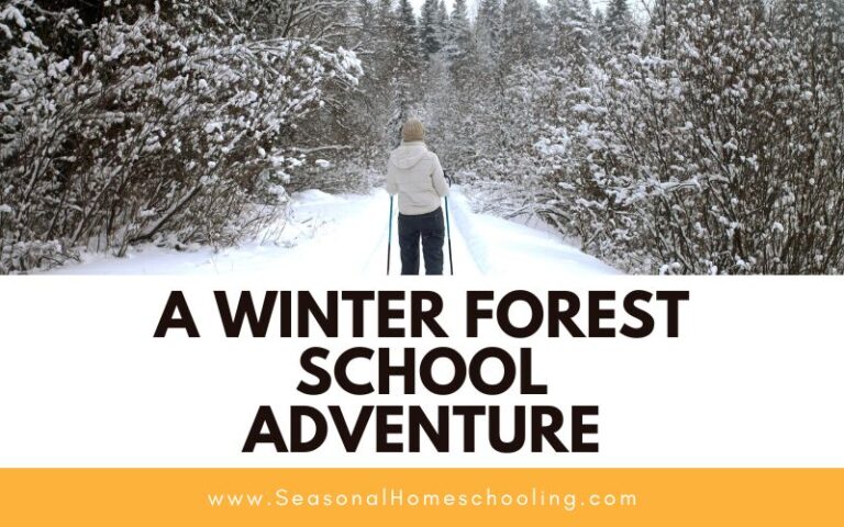 A Winter Forest School Adventure