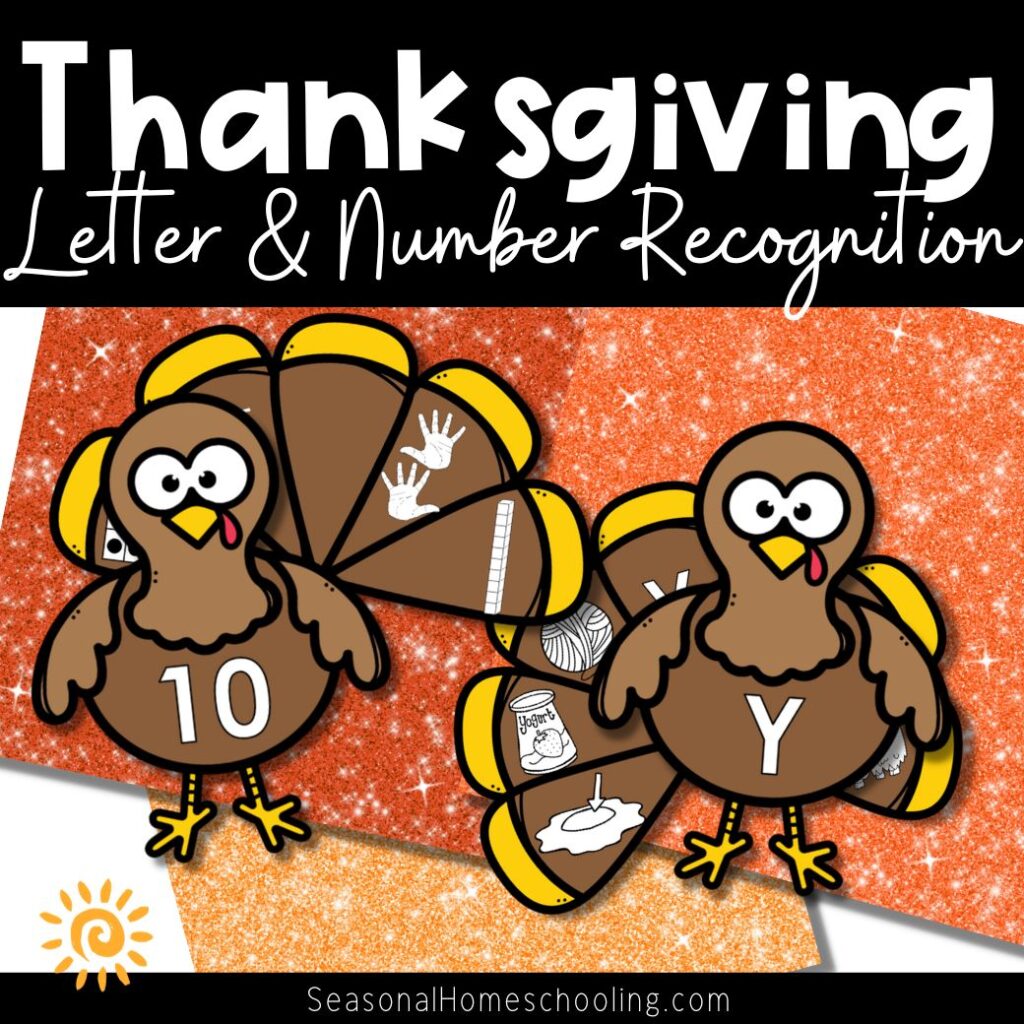 Turkey Tail Feather Alphabet and Number Matching Set samples