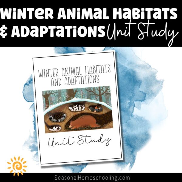 Winter Animal Habitats & Adaptations Unit Study samples