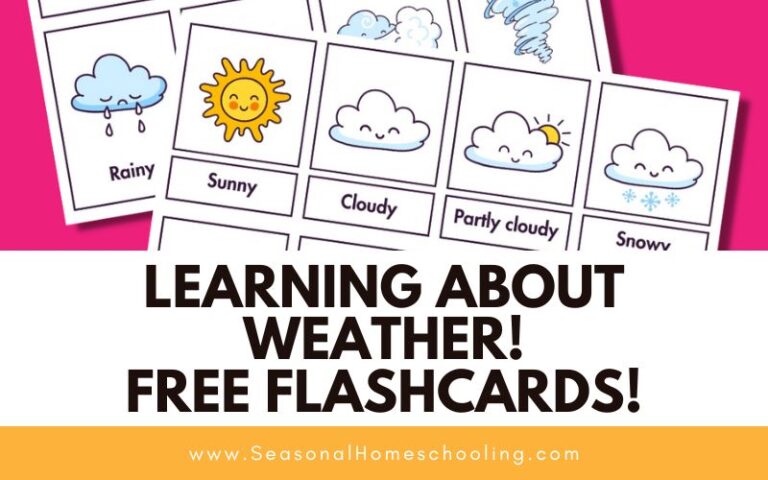 Learning About Weather! Free Flashcards!
