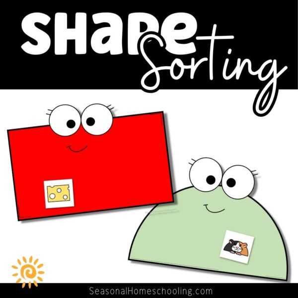 2D Shape Sorting Mats - Multiple Ways to Use!