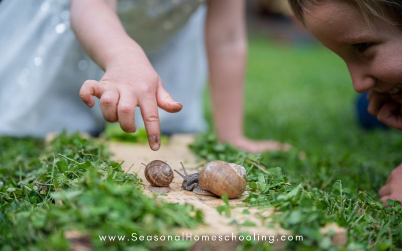 child playing with a snail on a trail