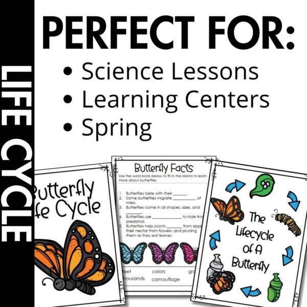 Life Cycle of A Butterfly Worksheets samples