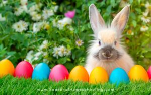 bunny outside in yard with a row of Easter eggs in front of it