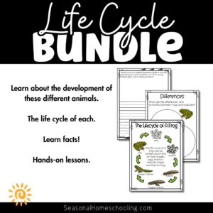 Life Cycle Bundle - Animal Life Cycles Printable Sets - page samples
