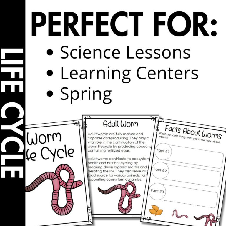 Earthworm Life Cycle Worksheets & Activities | Science Printables ...