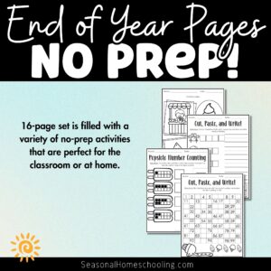 Summer - End of Year Activity Pages samples of pages