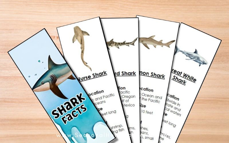 Dive into the Depths with Our Shark Information Bookmark Set!