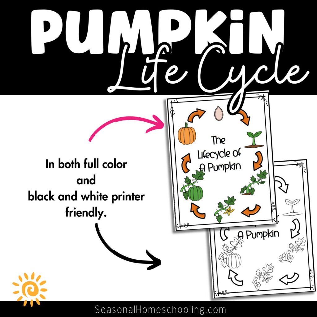Pumpkin Life Cycle samples of pages included