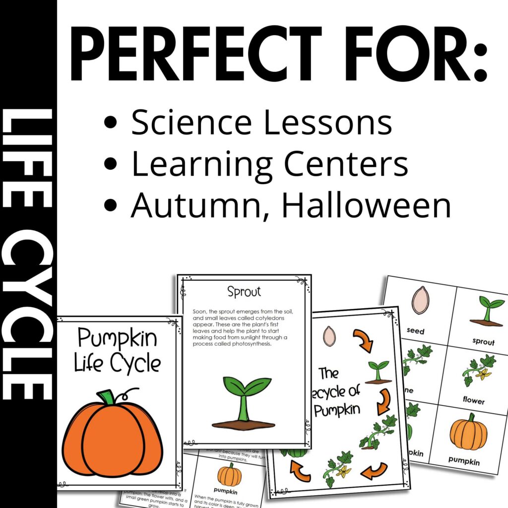 Pumpkin Life Cycle samples of pages included