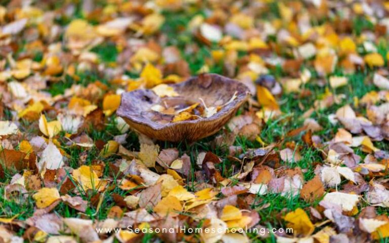 Fun September Activities for Elementary Kids