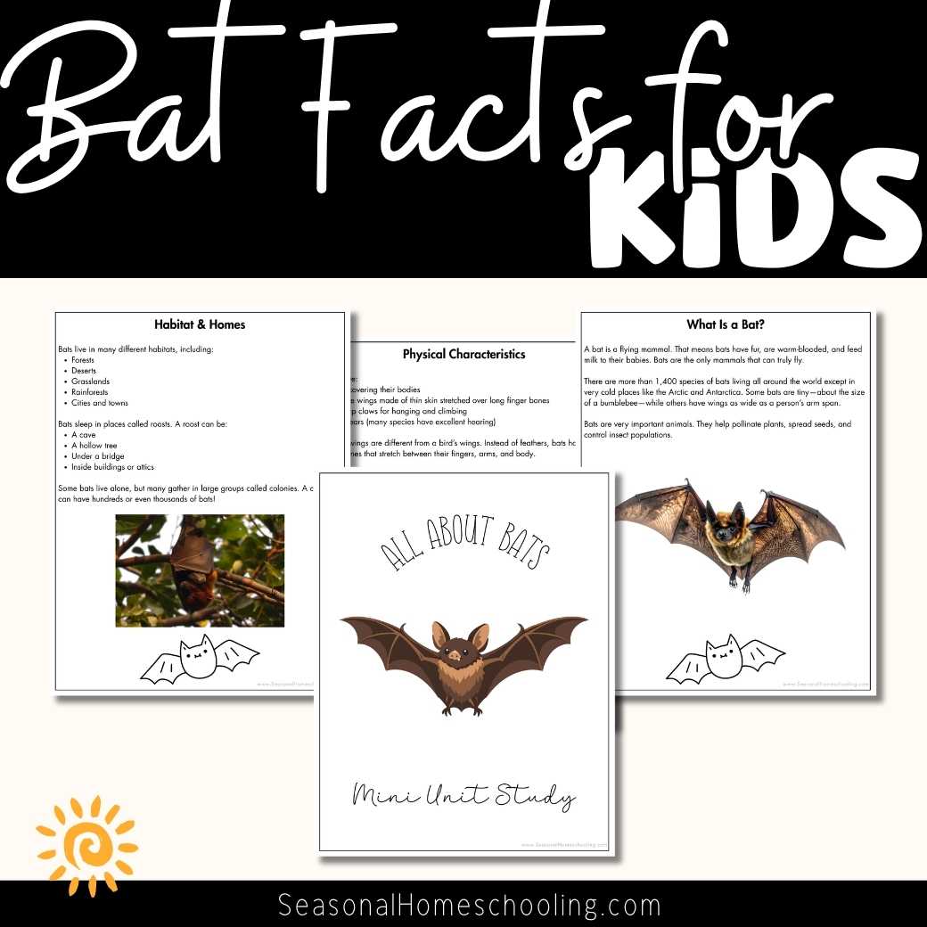 Bat Facts for Kids Printable Mini Unit | Informational Reading + Activities