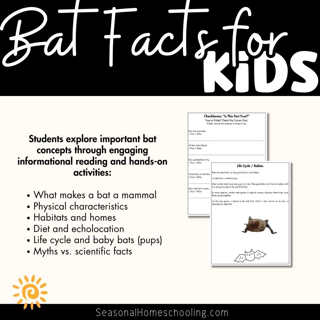 Bat Facts for Kids Printable Mini Unit | Informational Reading + Activities - Image 2