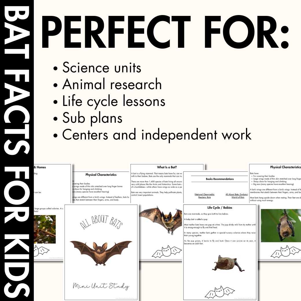 Bat Facts for Kids Printable Mini Unit | Informational Reading + Activities - Image 4